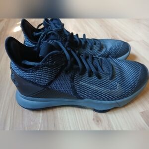 Nike Lebron Lion Sneakers size 8.5
